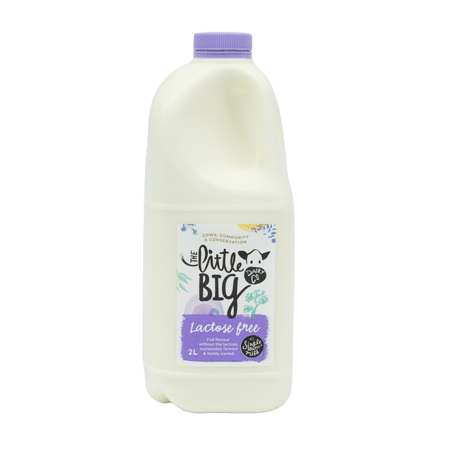Little Big Dairy Lactose Free Milk 2L