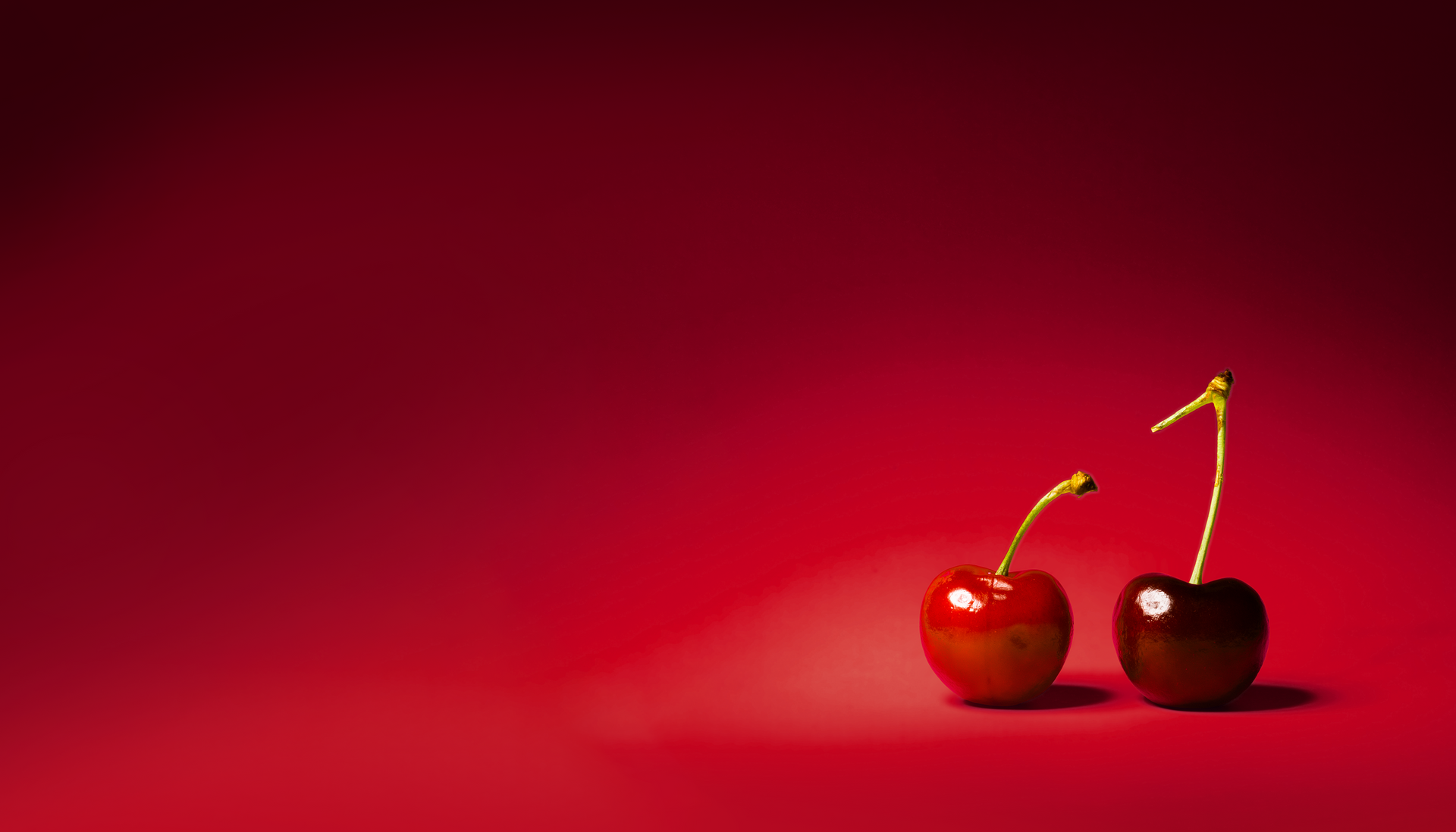 Cherries Are Coming Real SOON!