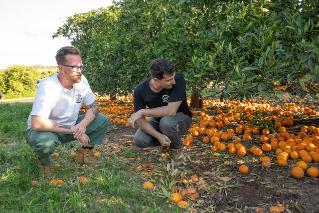 Statistics of Ugly Fruit and Vegetable Food Wastage in Australia