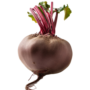 Beetroot