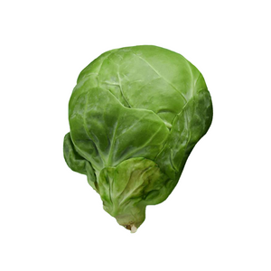 Brussels Sprout