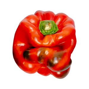 Capsicum