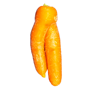 Carrot
