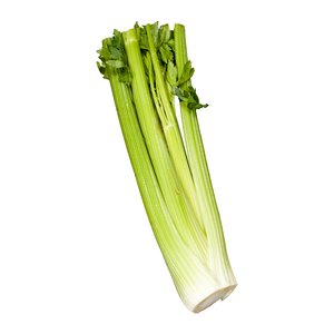 Celery