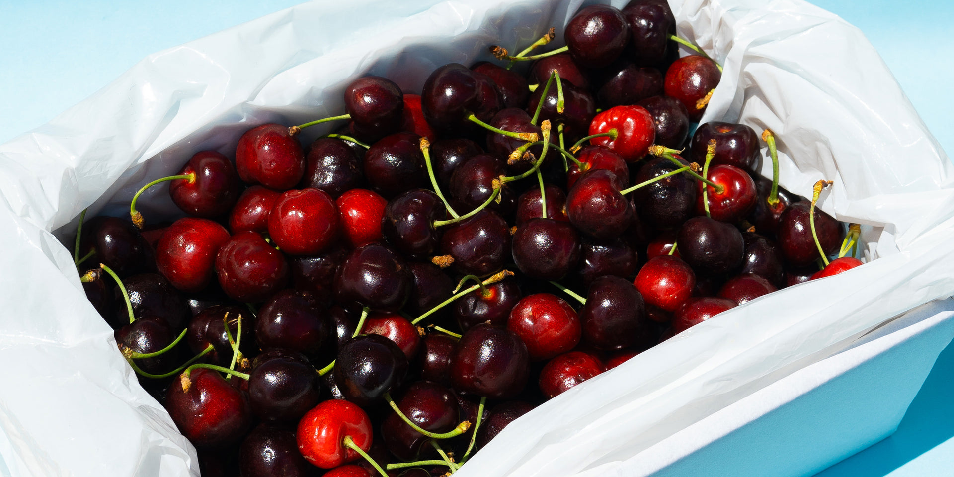 Help Us Rescue 60,000 KILOS of Cherries!