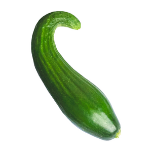 Cucumber