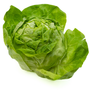 Lettuce 