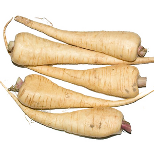Parsnip