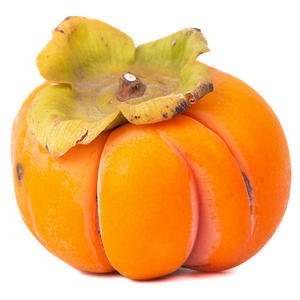 Persimmon