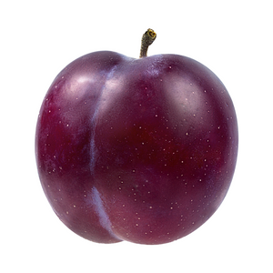 Plum