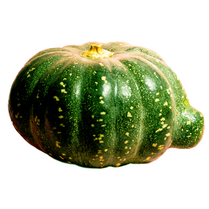 Pumpkin Jap
