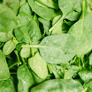 Spinach Baby
