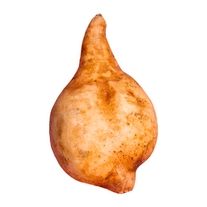 Sweet Potato