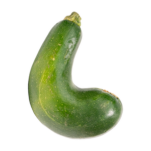 Zucchini