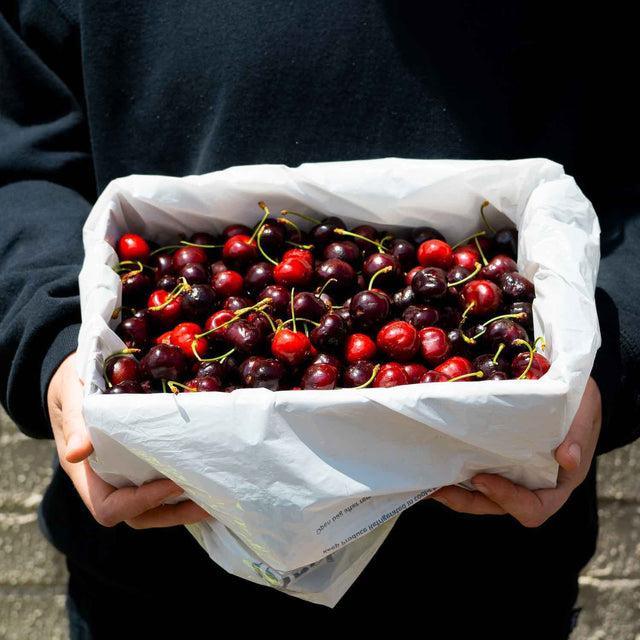 2KG Cherry Box.