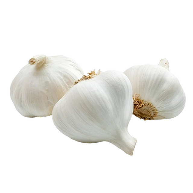 Garlic Bulb 3pk